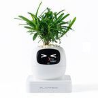Second-generation Smart Self-watering Flower Pot Round Shape USB Rechargeable