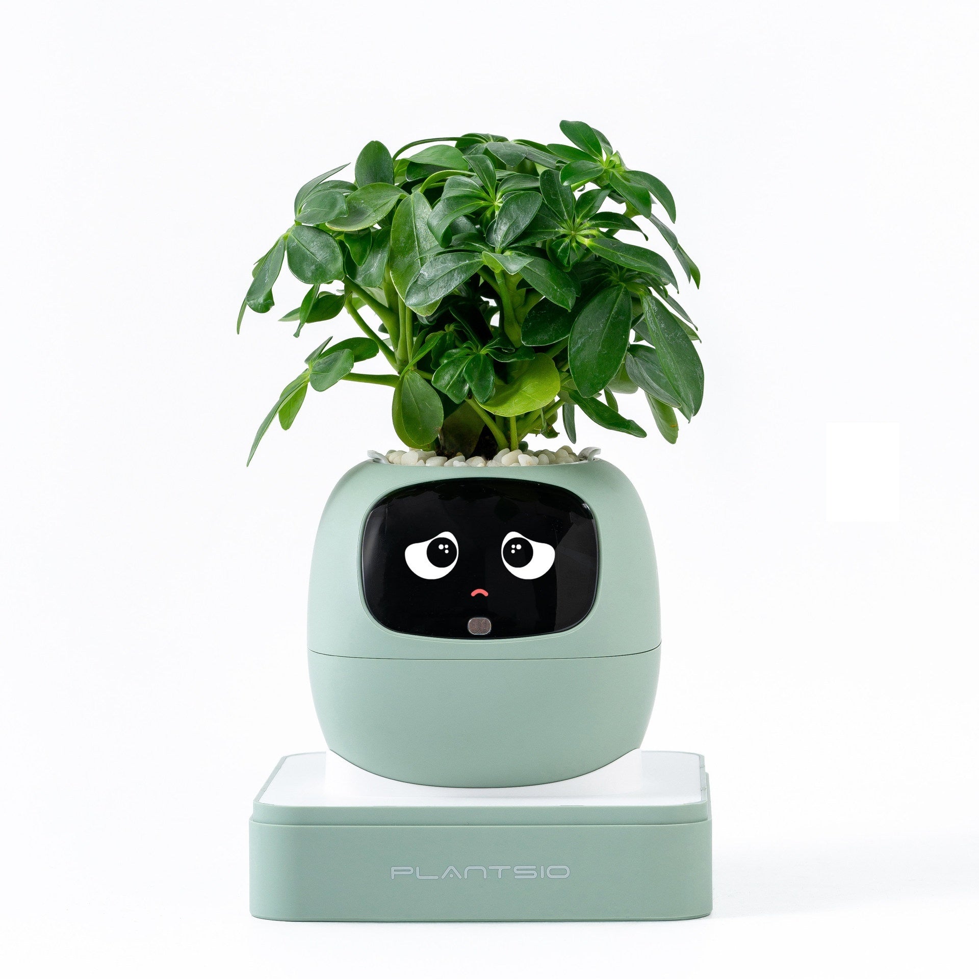 Second-generation Smart Self-watering Flower Pot Round Shape USB Rechargeable
