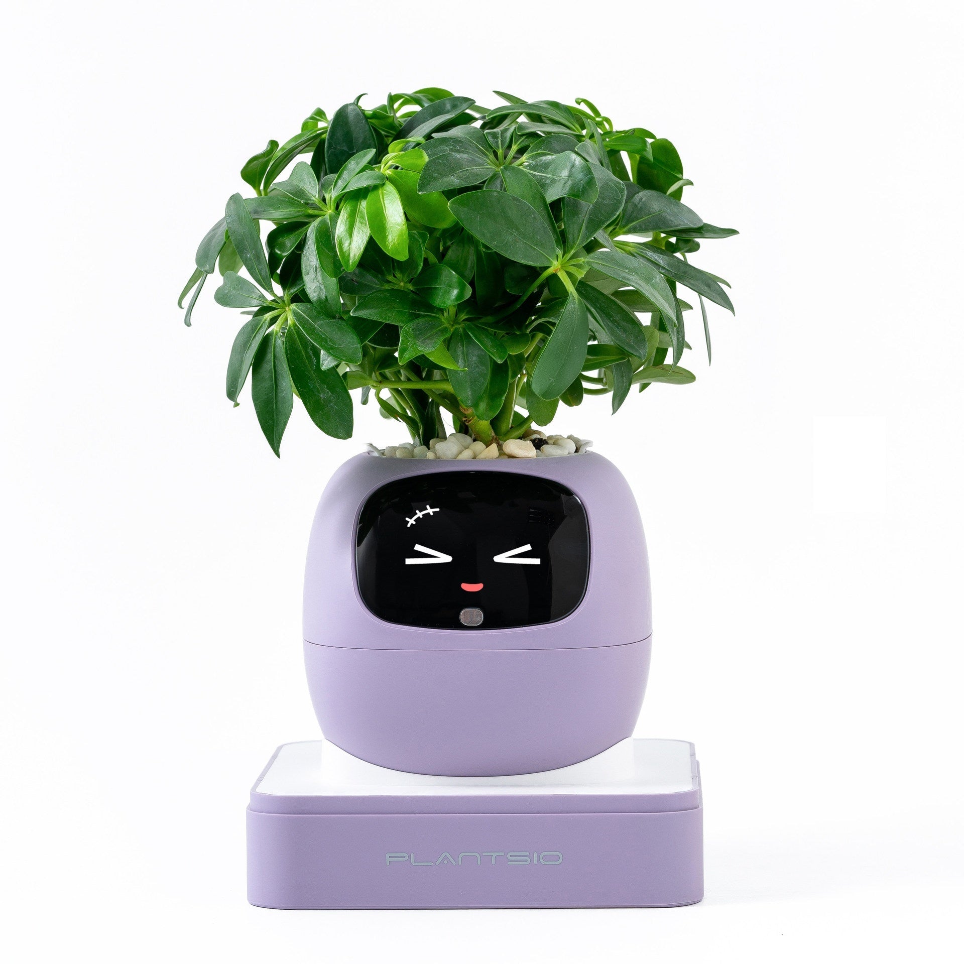 Second-generation Smart Self-watering Flower Pot Round Shape USB Rechargeable
