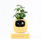 Second-generation Smart Self-watering Flower Pot Round Shape USB Rechargeable