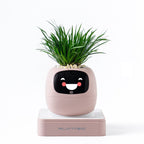 Second-generation Smart Self-watering Flower Pot Round Shape USB Rechargeable